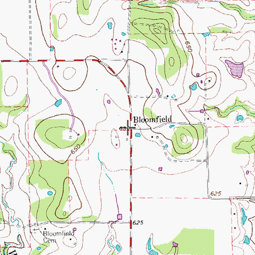 Topographic Map of Bloomfield, TX
