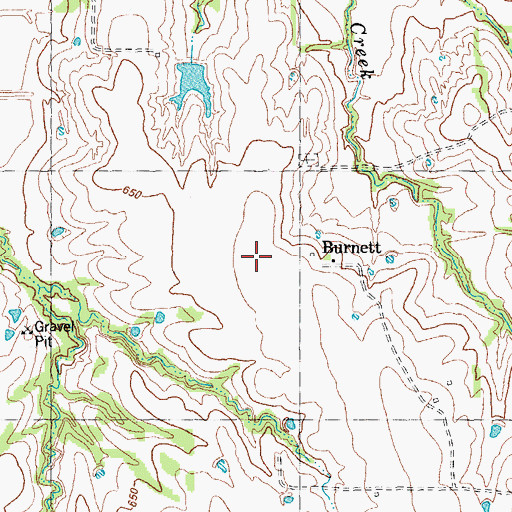 Topographic Map of Burnett, TX