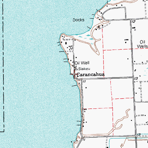 Topographic Map of Carancahua, TX