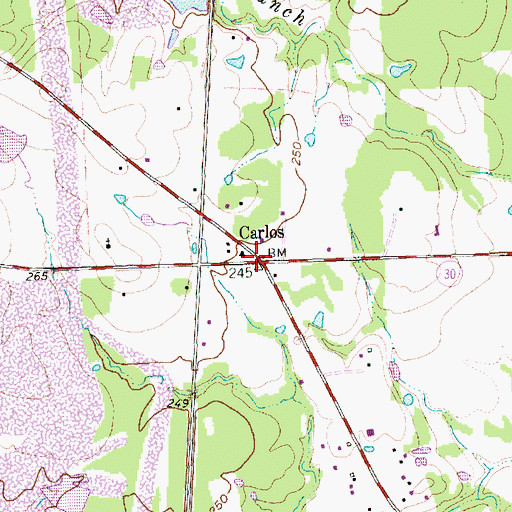 Topographic Map of Carlos, TX