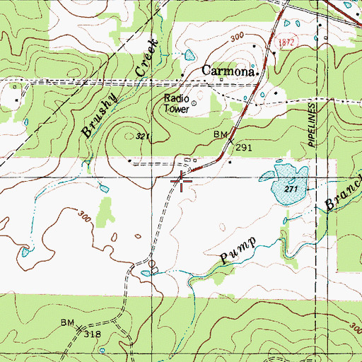 Topographic Map of Carmona, TX