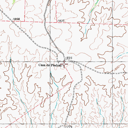 Topographic Map of Casa de Peidras, TX