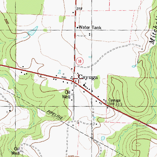 Topographic Map of Cayuga, TX