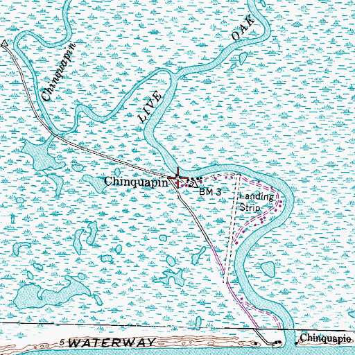 Topographic Map of Chinquapin, TX