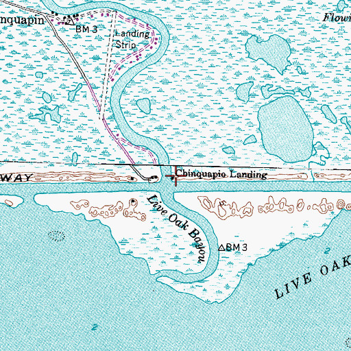 Topographic Map of Chinquapin Landing, TX