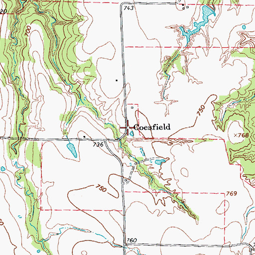 Topographic Map of Coesfield, TX