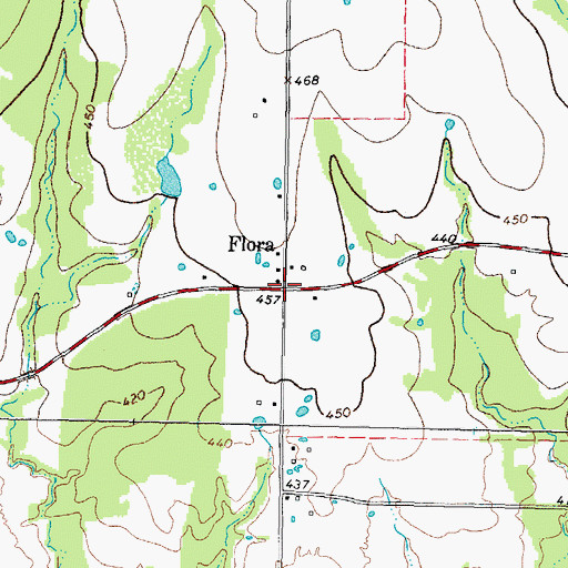 Topographic Map of Flora, TX