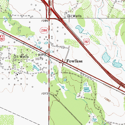 Topographic Map of Fowlkes, TX