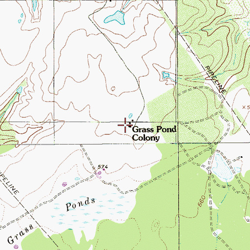 Topographic Map of Grass Pond Colony, TX