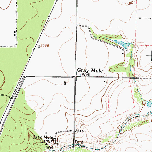 Topographic Map of Gray Mule, TX