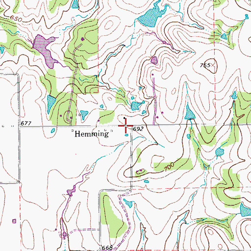 Topographic Map of Hemming, TX