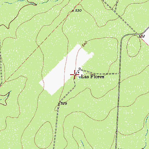 Topographic Map of Las Flores, TX