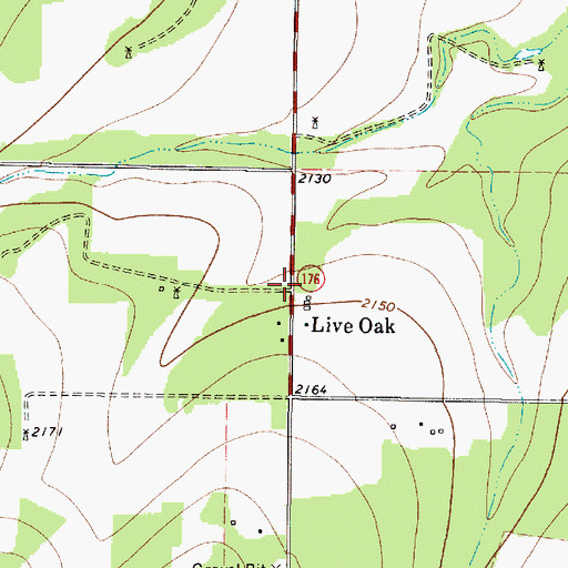 Topographic Map of Live Oak, TX