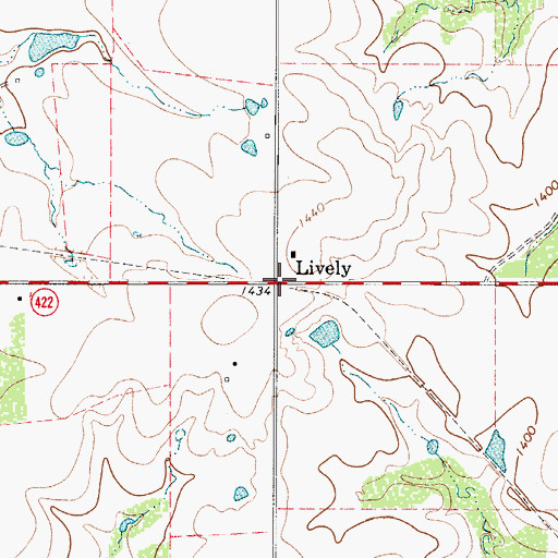 Topographic Map of Lively, TX