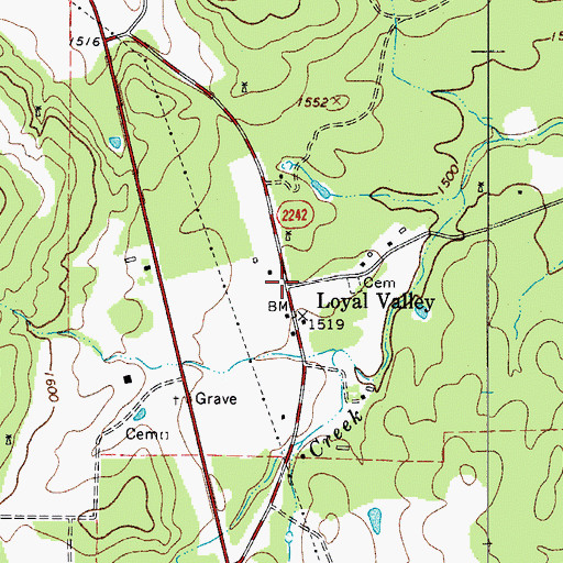 Topographic Map of Loyal Valley, TX