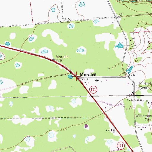 Topographic Map of Morales, TX