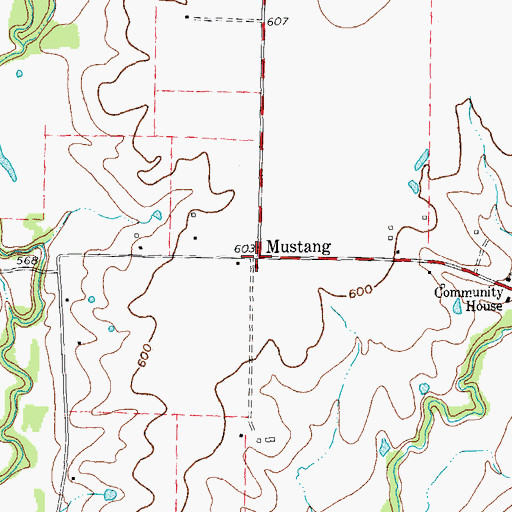 Topographic Map of Mustang, TX