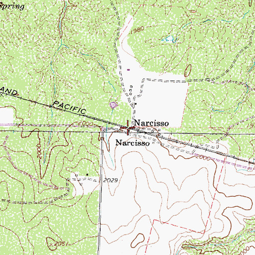 Topographic Map of Narcisso, TX