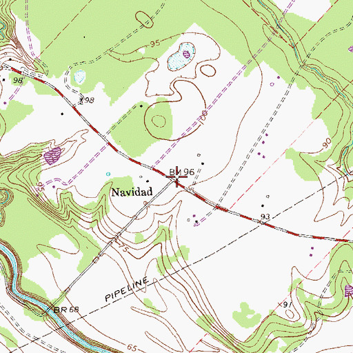 Topographic Map of Navidad, TX