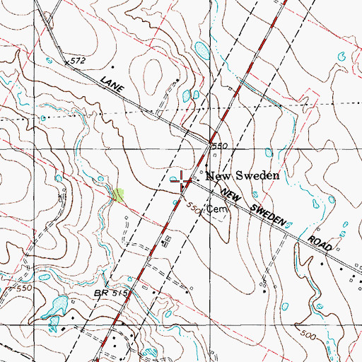 Topographic Map of New Sweden, TX