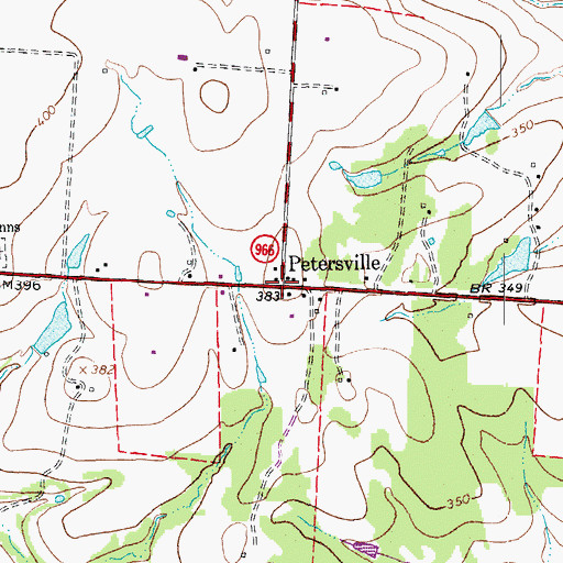 Topographic Map of Petersville, TX