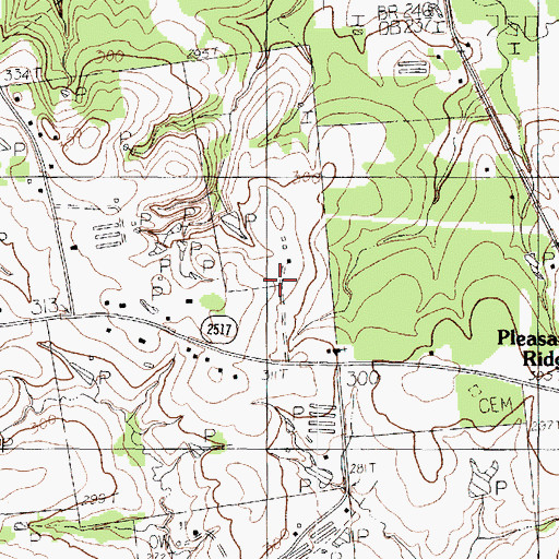 Topographic Map of Pleasant Ridge, TX