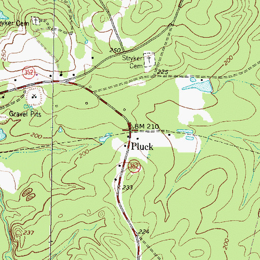 Topographic Map of Pluck, TX