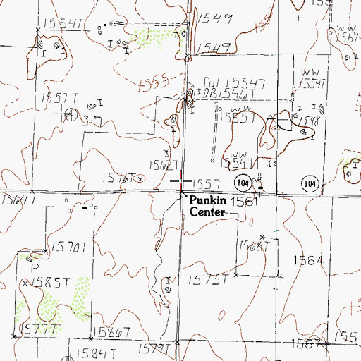 Topographic Map of Punkin Center, TX