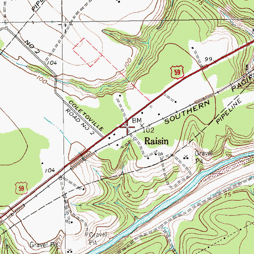 Topographic Map of Raisin, TX