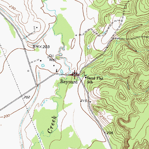Topographic Map of Reynard, TX