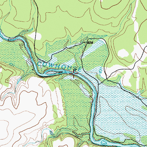 Topographic Map of Riggs Ford, TX