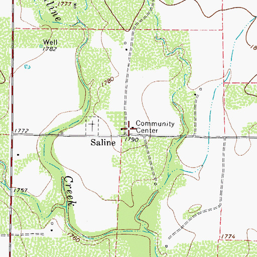 Topographic Map of Saline, TX
