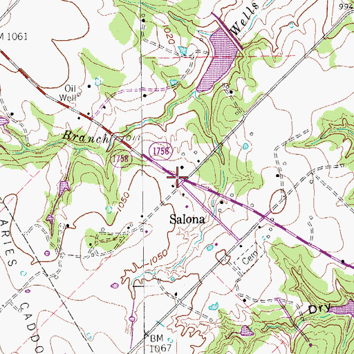 Topographic Map of Salona, TX