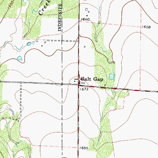 Topographic Map of Salt Gap, TX