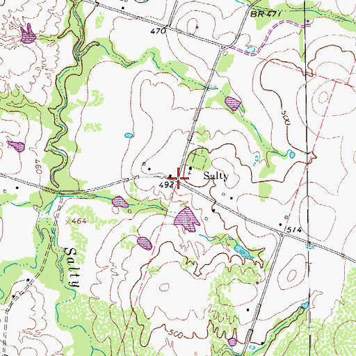 Topographic Map of Salty, TX