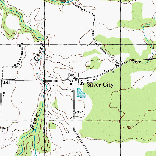 Topographic Map of Silver City, TX
