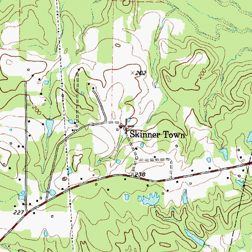 Topographic Map of Skinner Town, TX