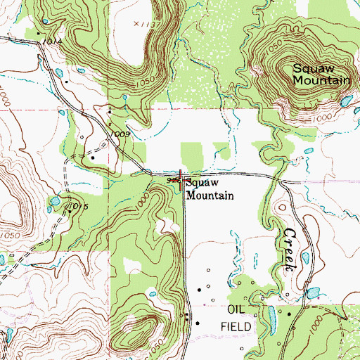 Topographic Map of Squaw Mountain, TX