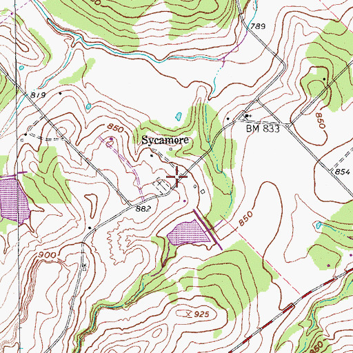 Topographic Map of Sycamore, TX