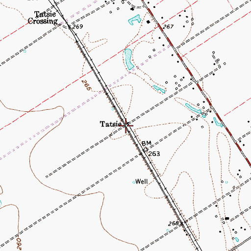 Topographic Map of Tatsie, TX