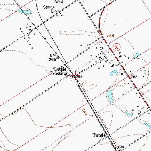 Topographic Map of Tatsie Crossing, TX