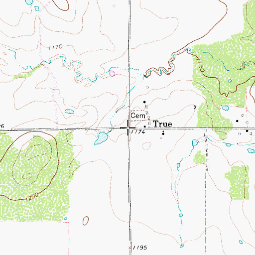 Topographic Map of True, TX