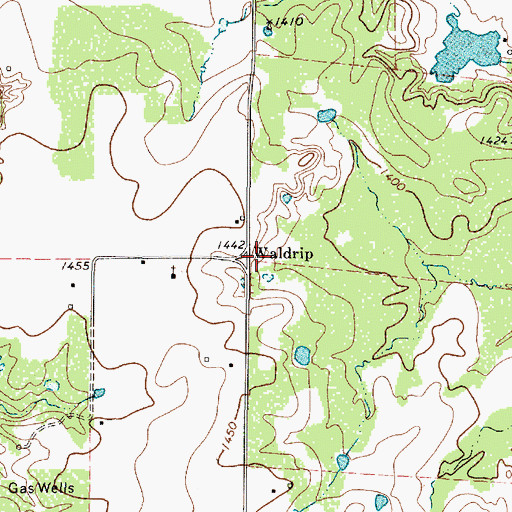 Topographic Map of Waldrip, TX