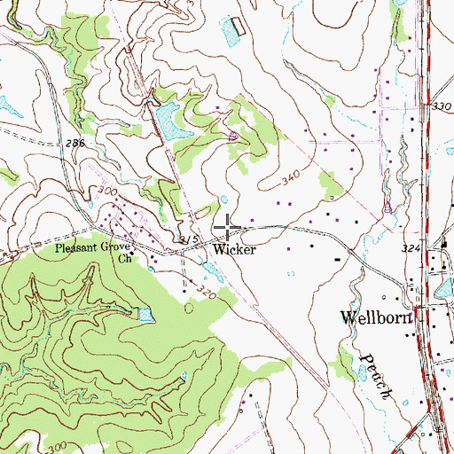 Topographic Map of Wicker, TX