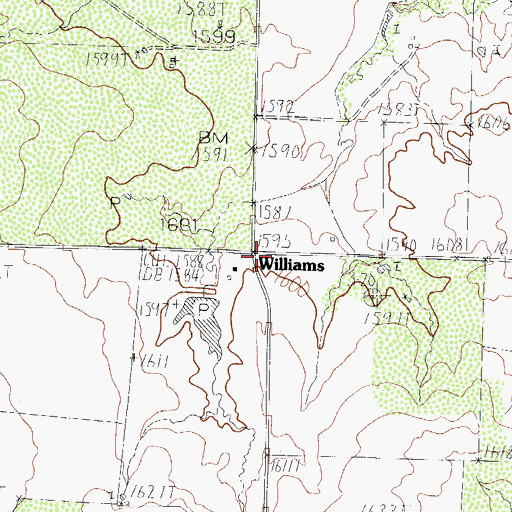 Topographic Map of Williams, TX