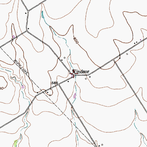 Topographic Map of Windsor, TX