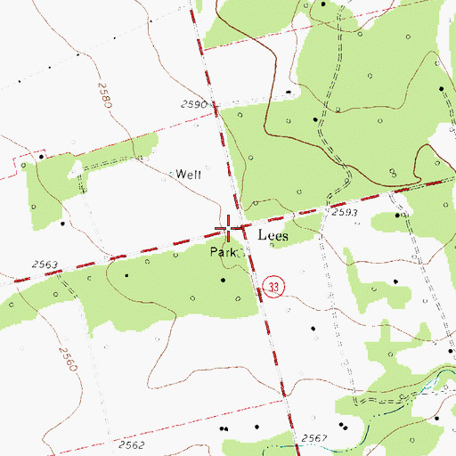 Topographic Map of Lees, TX