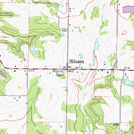 Topographic Map of Siloam, TX