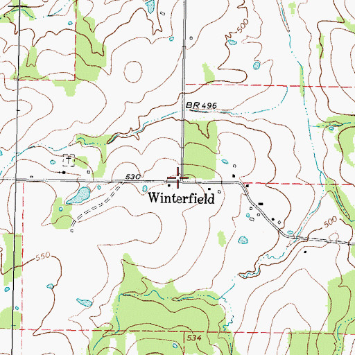 Topographic Map of Winterfield, TX