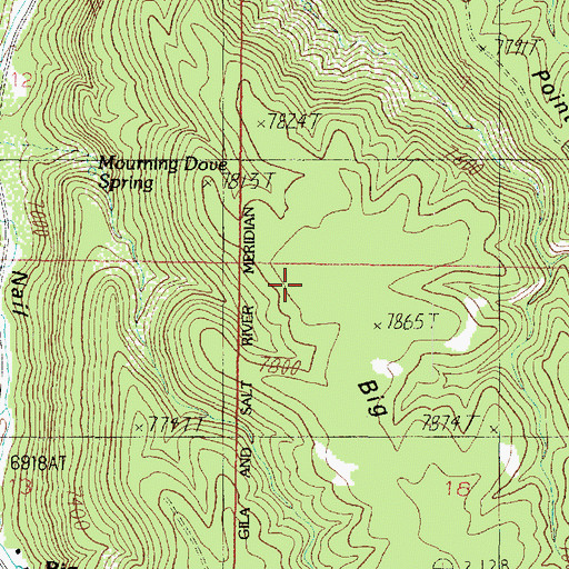 Topographic Map of Big Springs Point, AZ